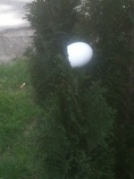 /album/fotogaleria/image-jpeg/